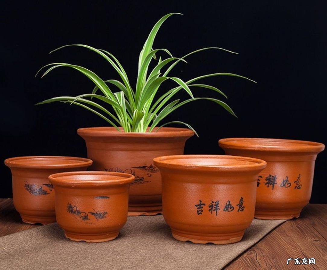 粘土陶瓷花盆 室内绿植可以选择什么花盆