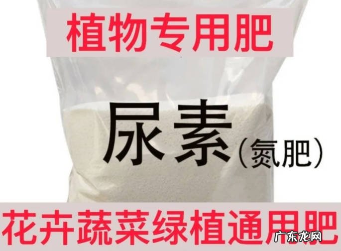 尿素 常见的花肥有哪些