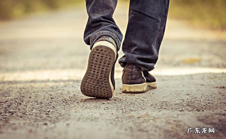 灵敏的嗅觉 狗狗认出主人的依据是什么