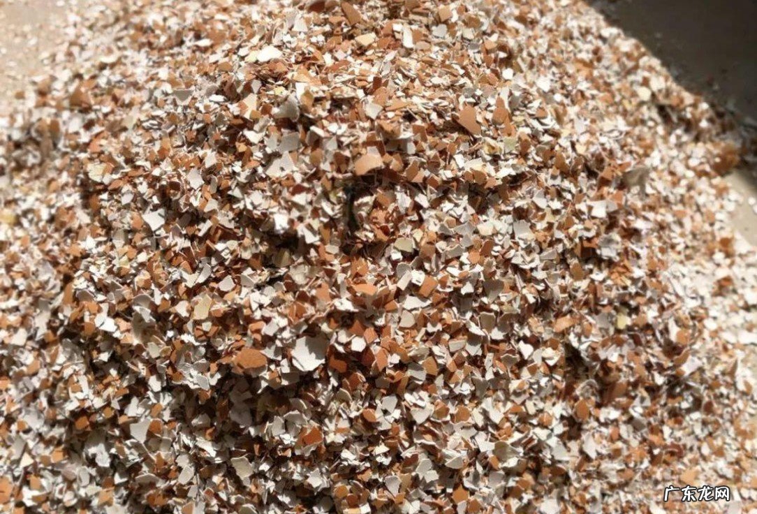 煤渣,骨头渣,蛋壳渣 土壤加哪些物质对植物的生长更好