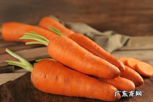 兔粮 哪些食物能给兔子吃
