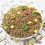 兔粮 哪些食物能给兔子吃