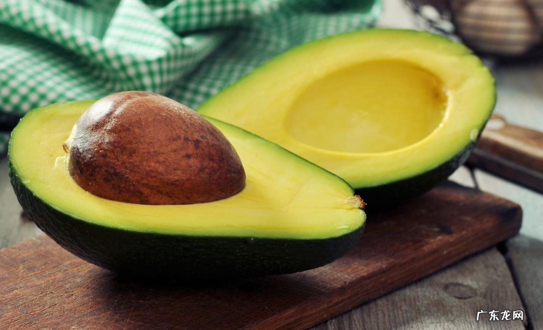 巧克力 哪些食物不能给鹦鹉吃