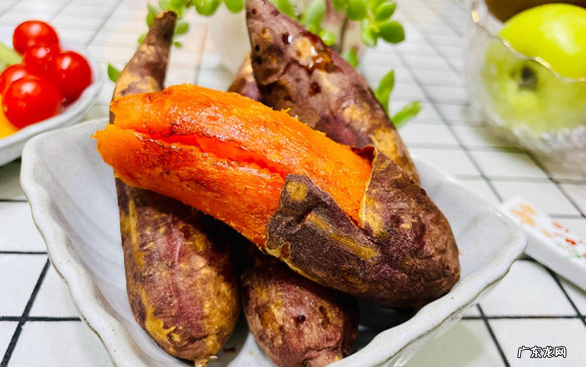 红薯 狗狗可以吃的食物包括什么