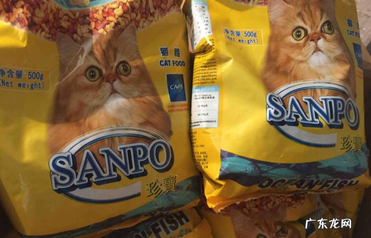 蛋黄 猫咪最爱的食物有哪些