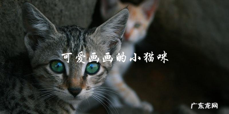 你喜欢可爱画画的小猫咪吗?