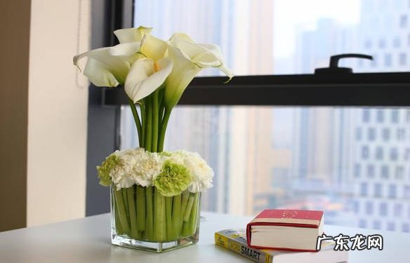 绿萝 适合办公室摆放的插花