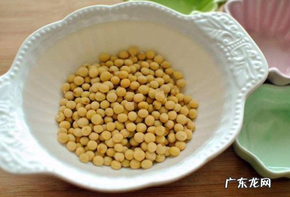 可以 豆腐水可以浇花吗