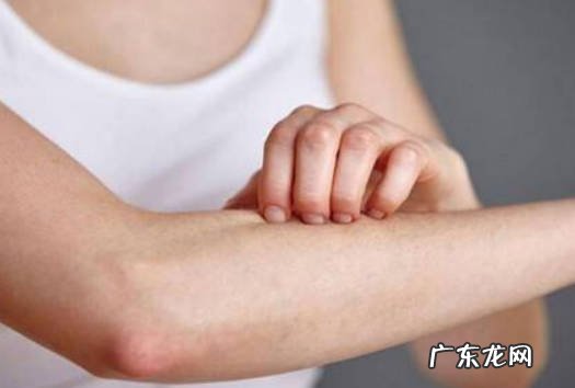 养宠物的 哪些人不适合种植幸福树