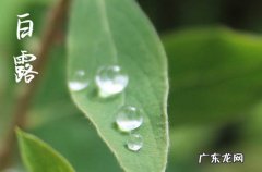 2023年白露气温大概多少度