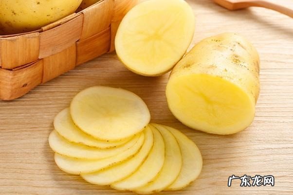 韭菜 对狗狗伤害大的蔬菜是什么
