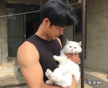 体型 猫咪更喜欢男生的原因是什么
