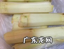 求几种简单的蔬菜汤做法