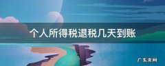 个人所得税退税几天到账 个人所得税退税多少天到账