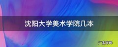 沈阳大学美术学院几本 沈阳师范大学是几本