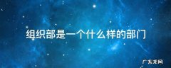 组织部是一个什么样的部门 组织部是一个什么样的组织
