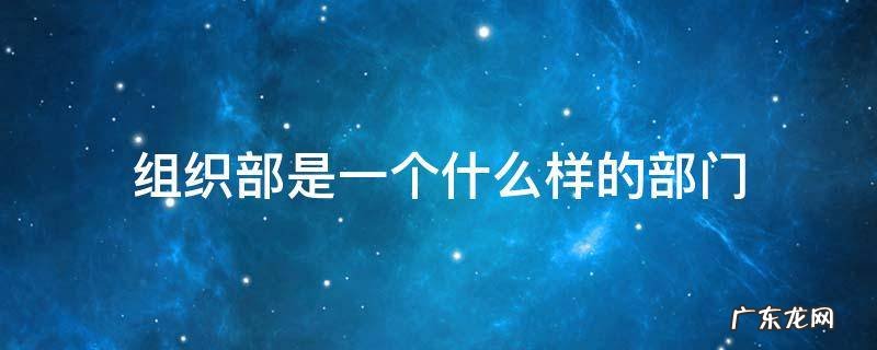 组织部是一个什么样的部门 组织部是一个什么样的组织