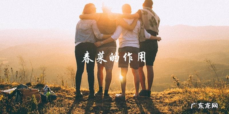 春菜的功效与作用禁忌