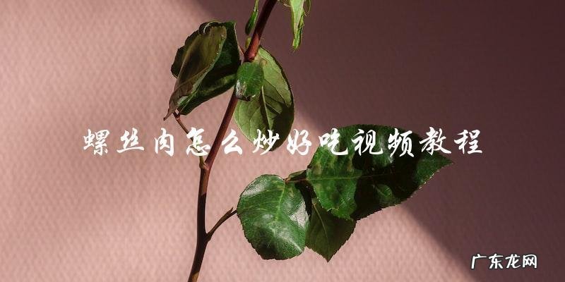 视频教程:如何炒出美味可口的螺丝肉