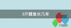 野生鲤鱼三斤重要长几年 3斤鲤鱼长几年
