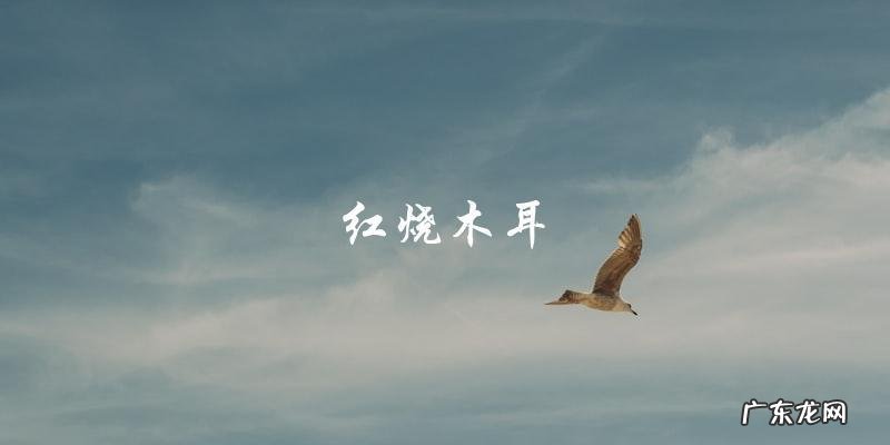 风味木耳,一次掌握多种做法!