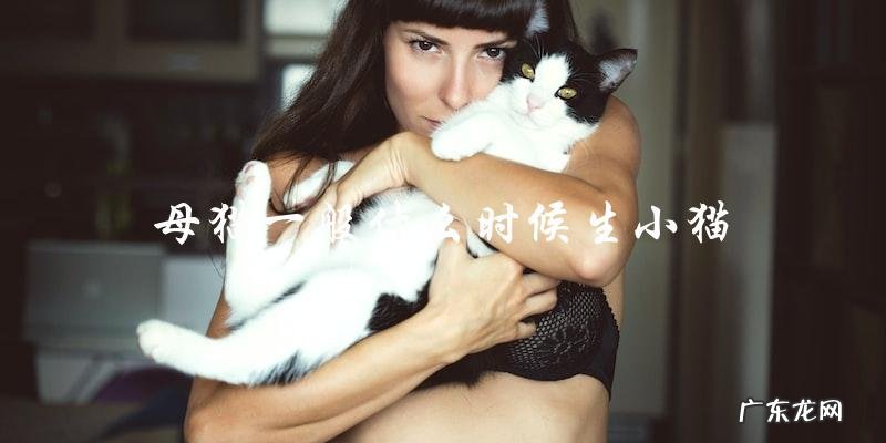 母猫通常在什么时候会分娩小猫?