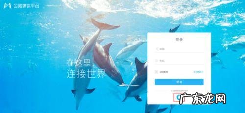 一点资讯怎么查看一点号的收益