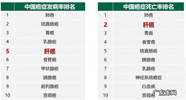身体若出现这5种症状,可能是肝发出的求救信号,提醒:要护肝了
