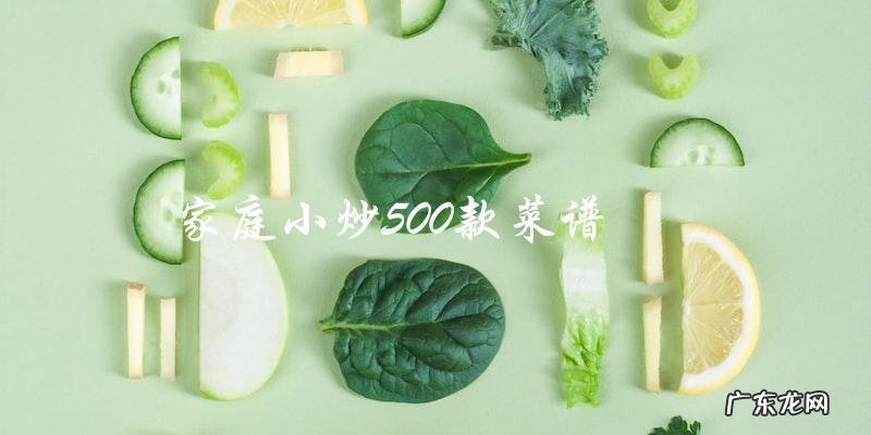 500款家庭小炒菜谱，让你轻松变身厨房小能手！