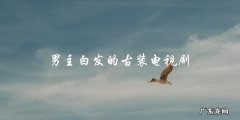 白发权谋：一位男主的古装征程