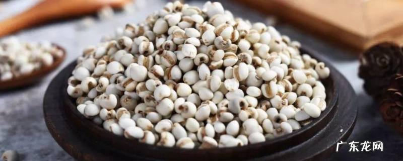 薏米怎么煮容易烂 薏仁怎么吃