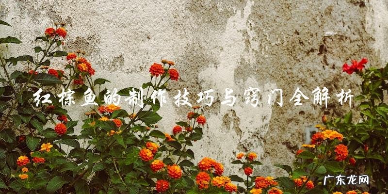 红棕鱼的制作技巧与窍门全解析