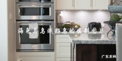 海兔和乌贼籽乌有哪些区别？可以通过图片来比较吗？