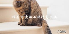 如何画出漂亮可爱的小猫咪？