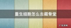细胞重生藏骨堂怎么出去 重生细胞怎么去藏骨堂
