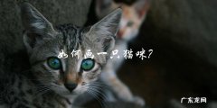 你知道如何画一只可爱的猫咪吗？