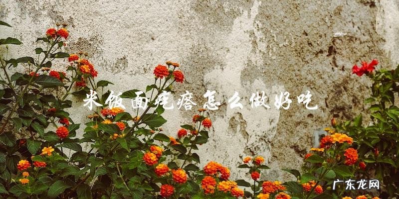 教你如何做出口感Q弹、味道香甜的米饭面疙瘩!