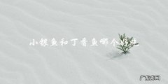 小银鱼和丁香鱼，哪种更美味？
