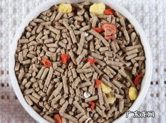 不乱用药物 喂养兔子有什么要注意的