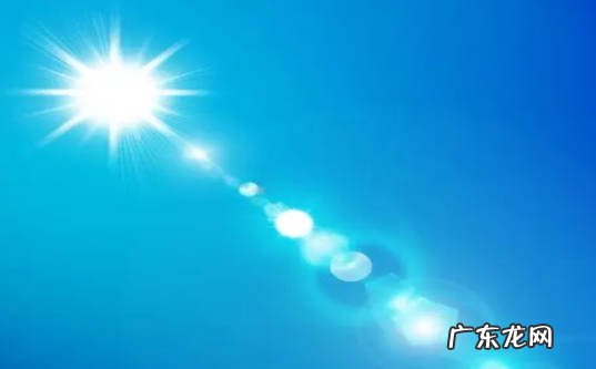 缺少光照 为什么多肉掉叶子