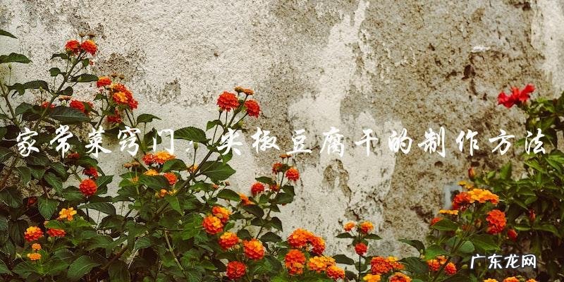 家常菜窍门：尖椒豆腐干的制作方法