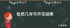枇杷播种几年才能开花结果 枇杷几年可开花结果