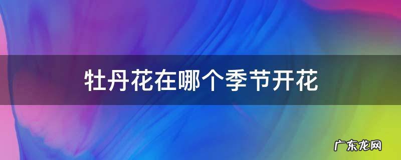 牡丹花一般什么季节开花 牡丹花在哪个季节开花