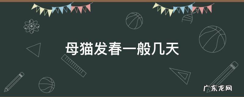 母猫发春在几月 母猫发春一般几天