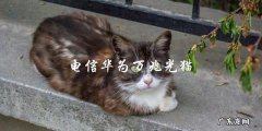 华为电信万兆光猫：如何提升家庭宽带速度？