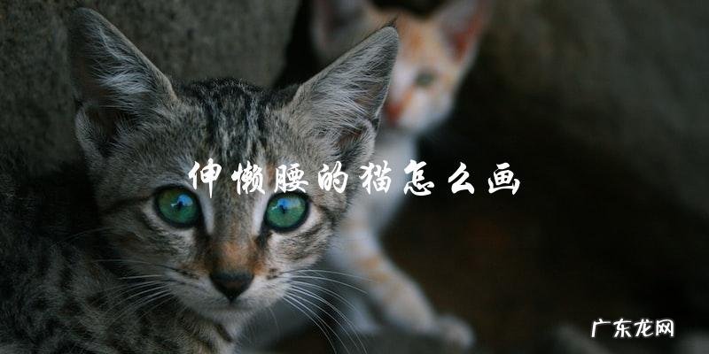如何画出伸懒腰的猫?