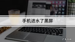 苹果手机老黑屏怎么回事
