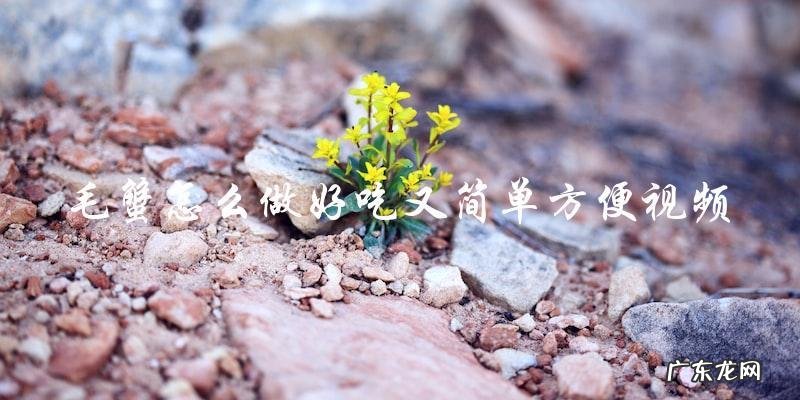 视频教你简单又方便地做出美味可口的毛蟹!