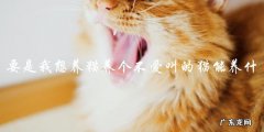 有没有不爱叫的猫品种适合养作宠物？