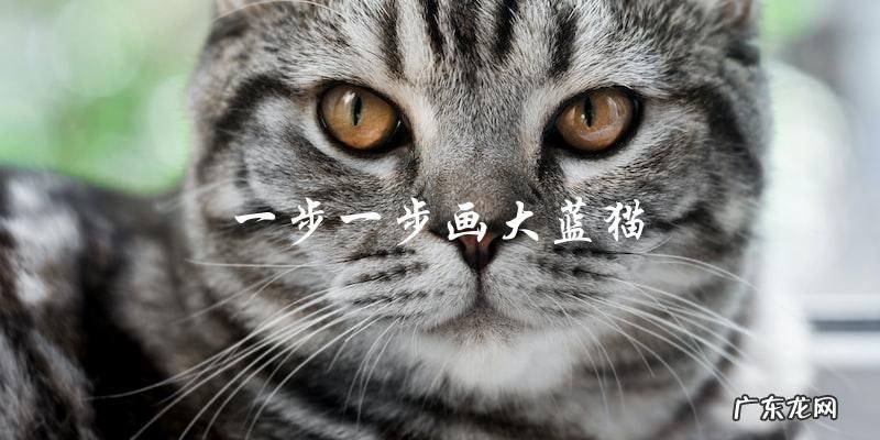如何一步一步地画出大蓝猫?